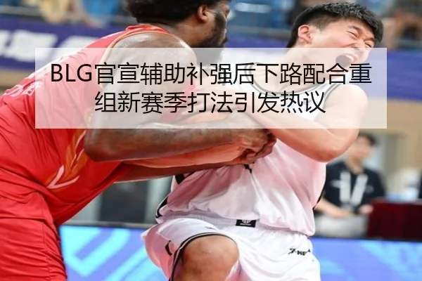 BLG官宣辅助补强后下路配合重组新赛季打法引发热议